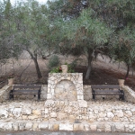 project_completed_15