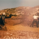 livestock_2