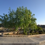 project_completed_7